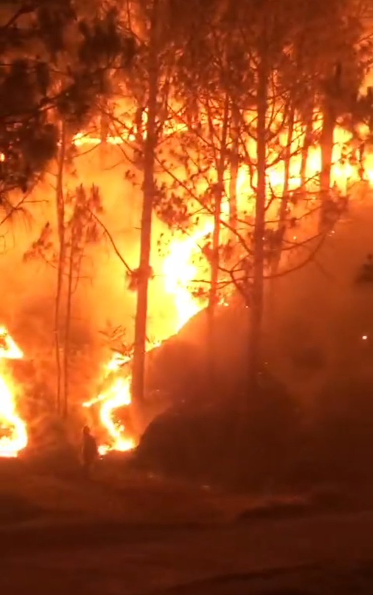 Nasir Raja tweet media