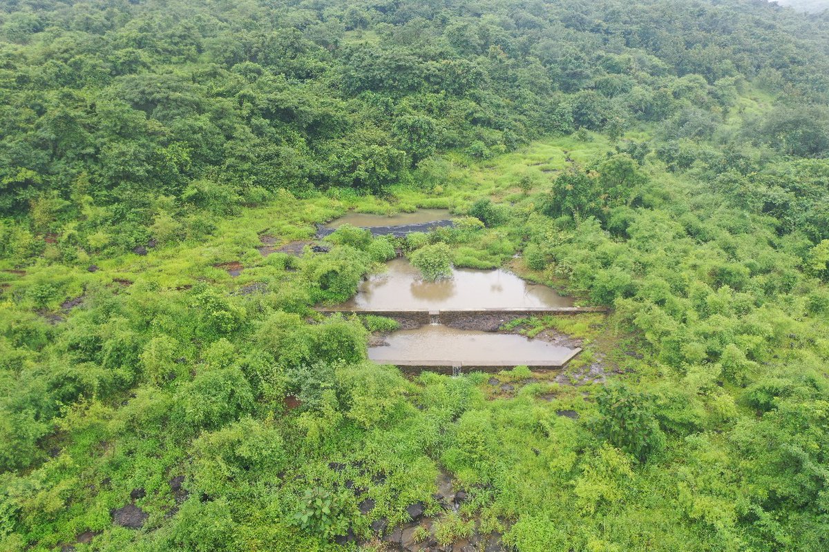 IAHVOfficial's tweet photo. 33 acres of land in the heart of Mumbai has been converted into a dense forest through the consistent efforts of 7 years by the @ArtofLiving and IAHV. 18,000 indigenous trees were planted, achieving a 95% survival rate! #EnvironmentDay #Afforestation #GreenerWorld #savenature https://t.co/zgqJ0P33Gl