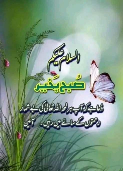 Nazi Malik tweet media