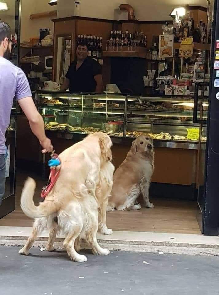 twaniimals's tweet image. 