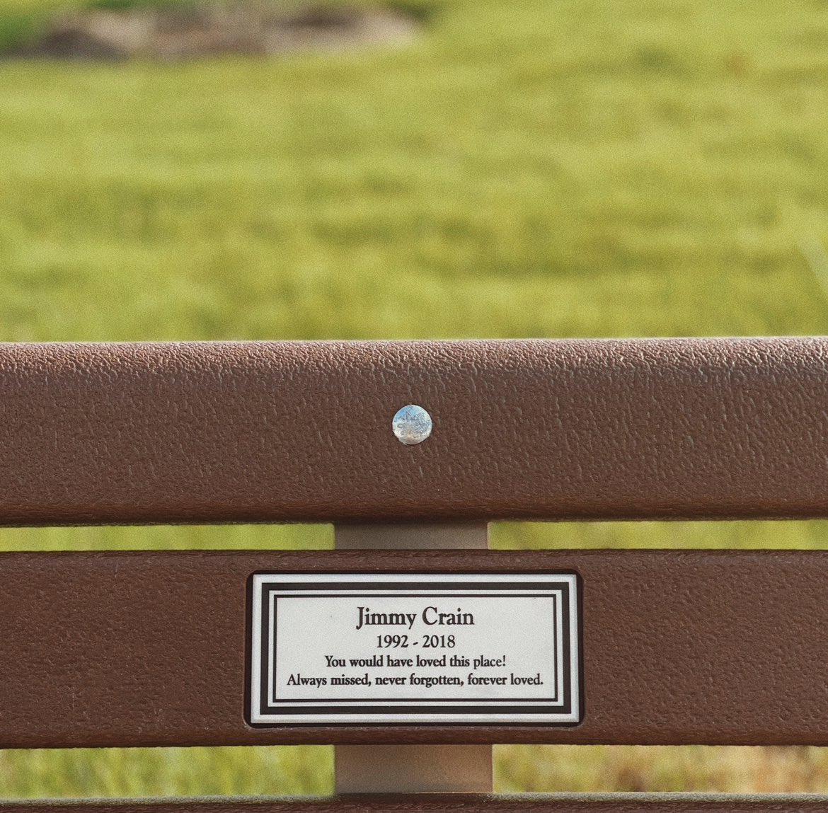 annale0nard's tweet photo. @seaglummm my mom put this plaque on a bench at a skate park when my brother died. we put this plaque at a tree we planted for her near his bench when she passed three years later 💛 https://t.co/Em4YWHCCgQ