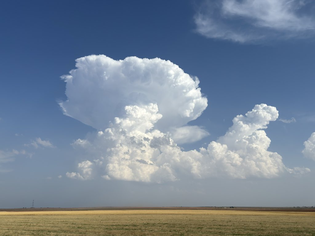 Mike Olbinski tweet media