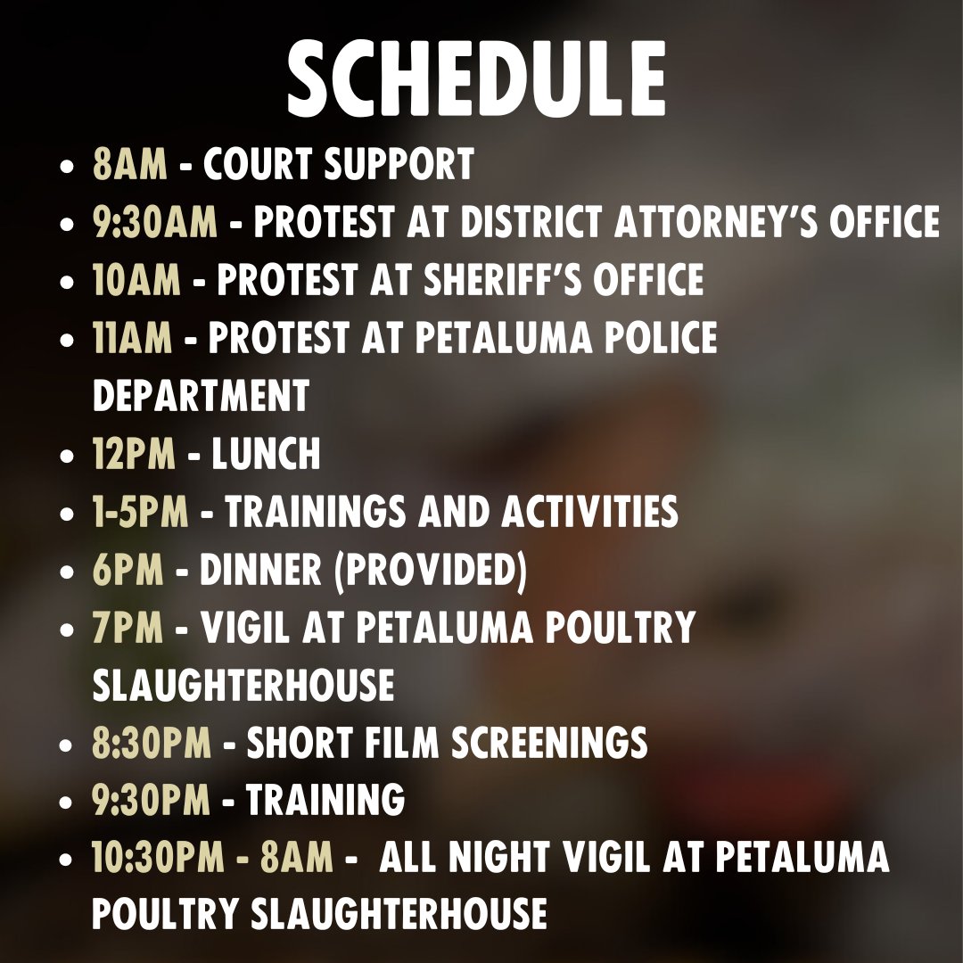 Join us at 8am on Thursday, June 13th for court support to kick off 24 hours of action commemorating the first anniversary of ALC 2023’s slaughterhouse open rescue.