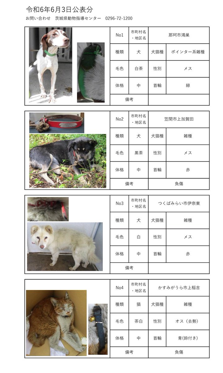 6月3日現在
茨城動物指導センターに保護されている、徘徊迷犬猫です。
当たりのある方は、茨城県動物指導センターへ至急お電話お願い致します。

茨城県動物指導センター
(受付時間　平日　8:30~17:15)
0296-72-1200
#迷い犬猫
#犬
#猫
#茨城県迷子犬
#茨城県迷子猫