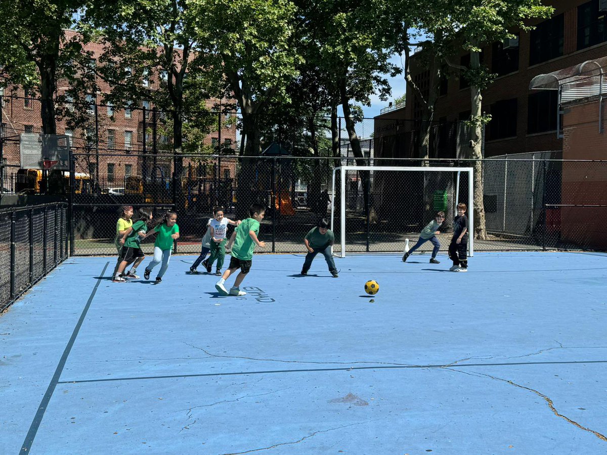 3rd Grade @ PS60Q tweet media