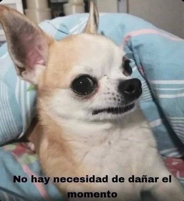 Watch 𝕄𝕚𝕣𝕏✨'s leaked NSFW photo on TwXstars