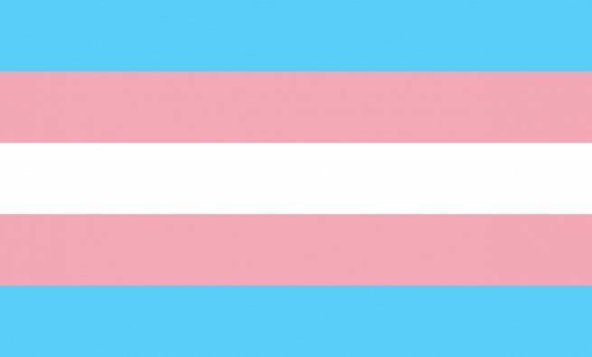 Noxcatt's tweet photo. Happy pride month VIADOS https://t.co/XfYmmLm06F
