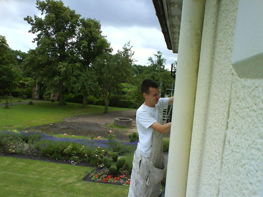 Digital Cybercherries tweet media