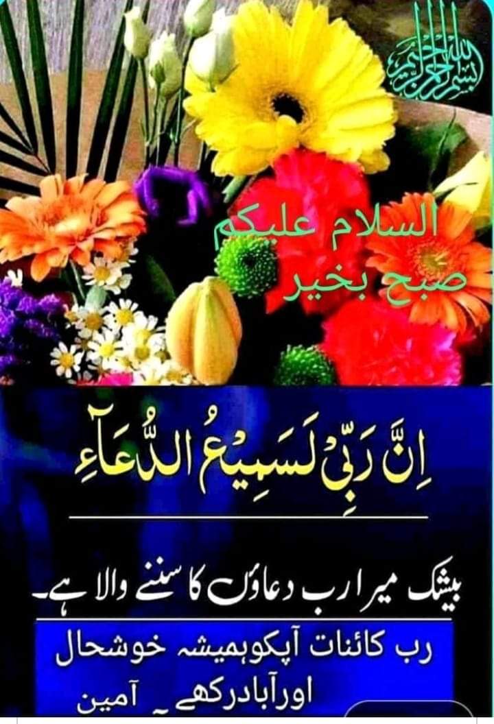 Ishrat Dar tweet media