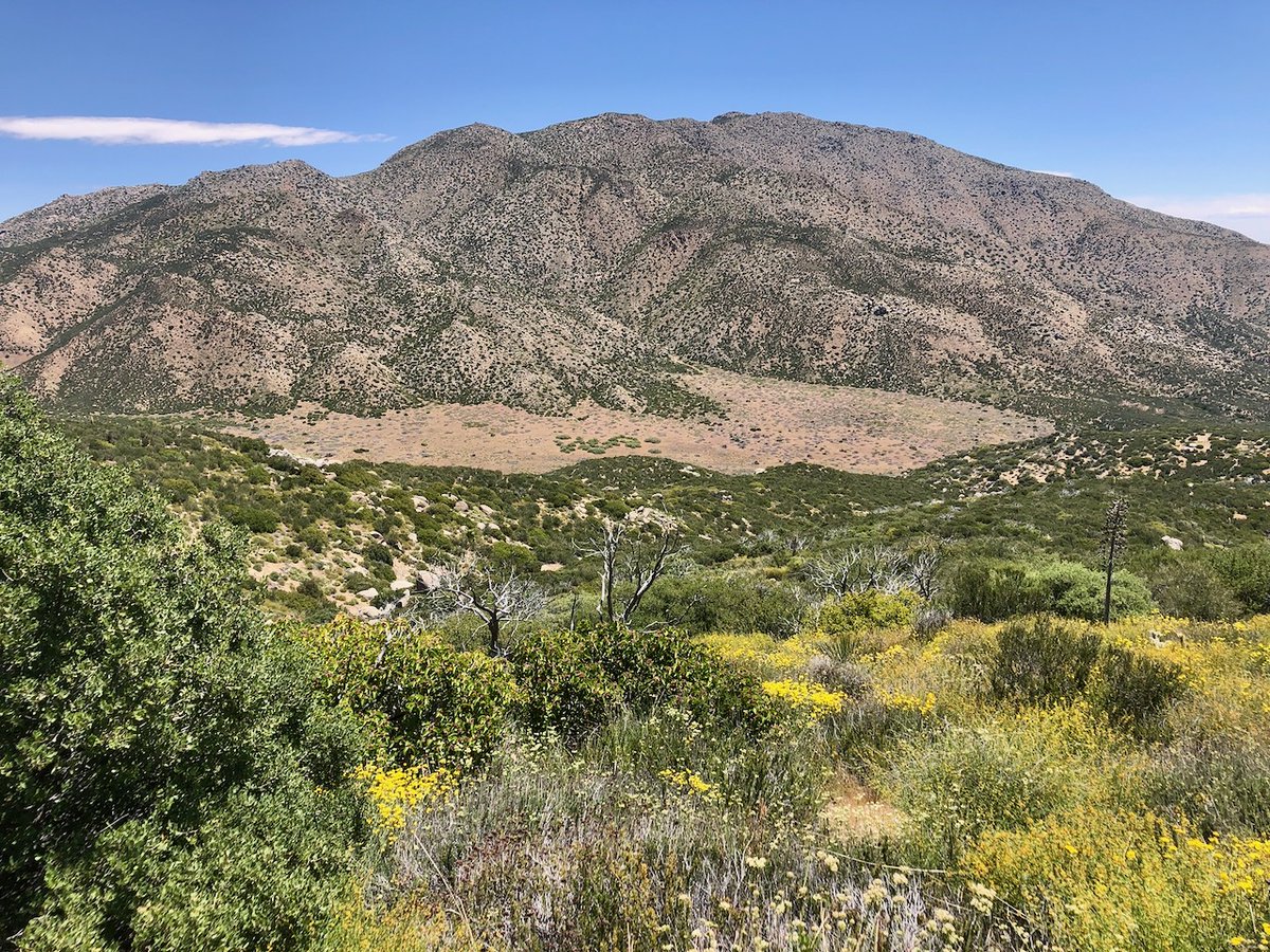 I was grateful to complete PCT Section A. It’s one of the most beautiful well maintained trails there is, and I feel blessed to have it right here in my backyard in Southern California.  What’s on your bucket list? #outdoorswriter #pacificcresttrail #writer