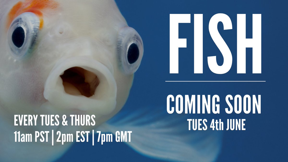 8 Questions, 1 minute, Let's GO TOMORROW!
<a href="/FISHKnowsTV/">FishKnowsTV</a>

Improve your GK with 1 minute episode a day!
LIVE TOMORROW!

YT - TUESDAY 4TH JUNE
youtube.com/@fishknowstv

#FISHKnows #Fish #Quiz #Questions #General #Knowledge #Brain #Teaser #Gameplay #Game #Trivia #ComeGetFISH
