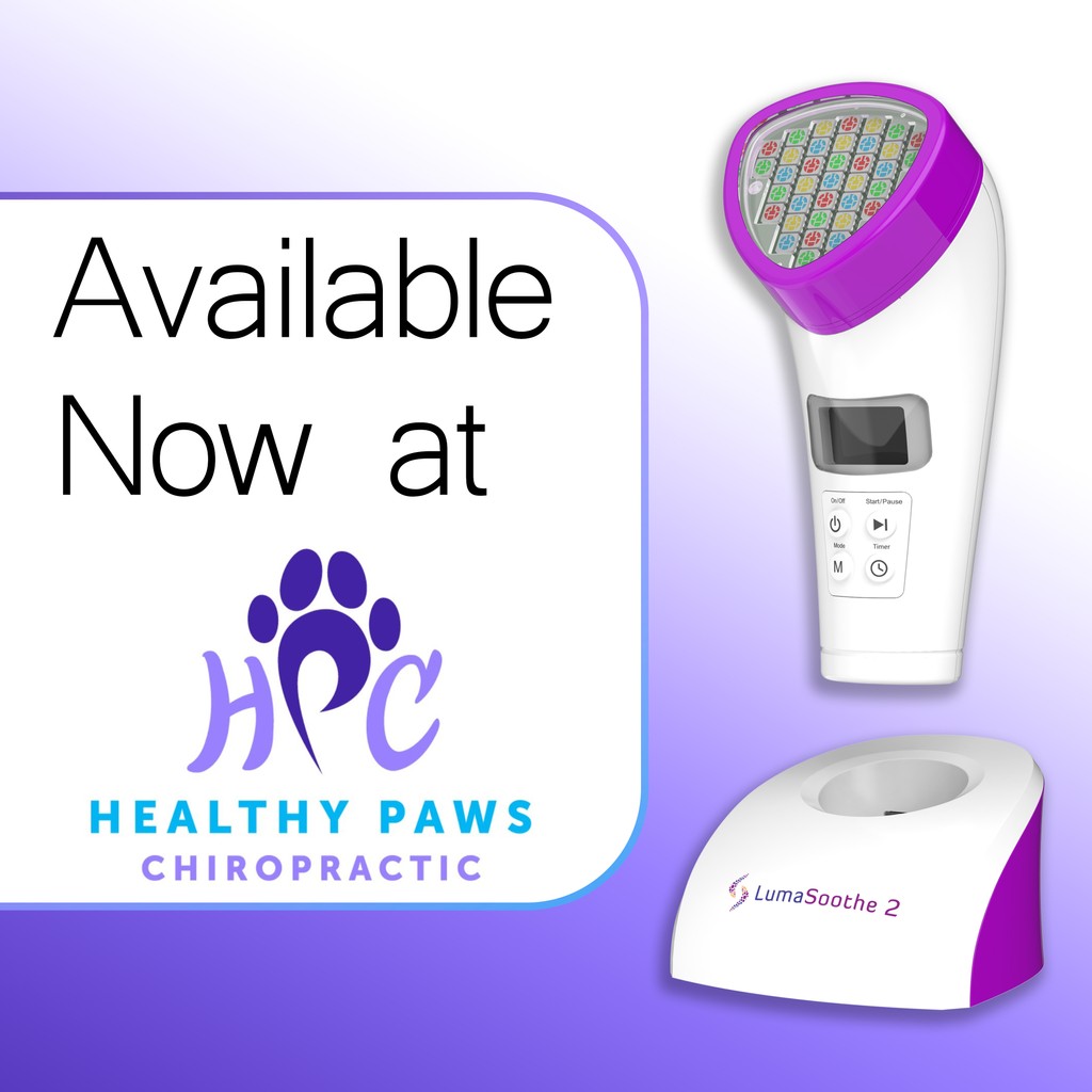 LumaSoothe's tweet photo. LumaSoothe 2 - The Next Generation in Light Therapy for Pets is now available at Healthy Paws Chiropractic!⁠

ORDER NOW 👉 https://t.co/nzQw1xHQBM

#Pets #Dogs #Cats #SkinCare #Healing #Arthritis #LumaSoothe2 https://t.co/NZKwwjr8Sx