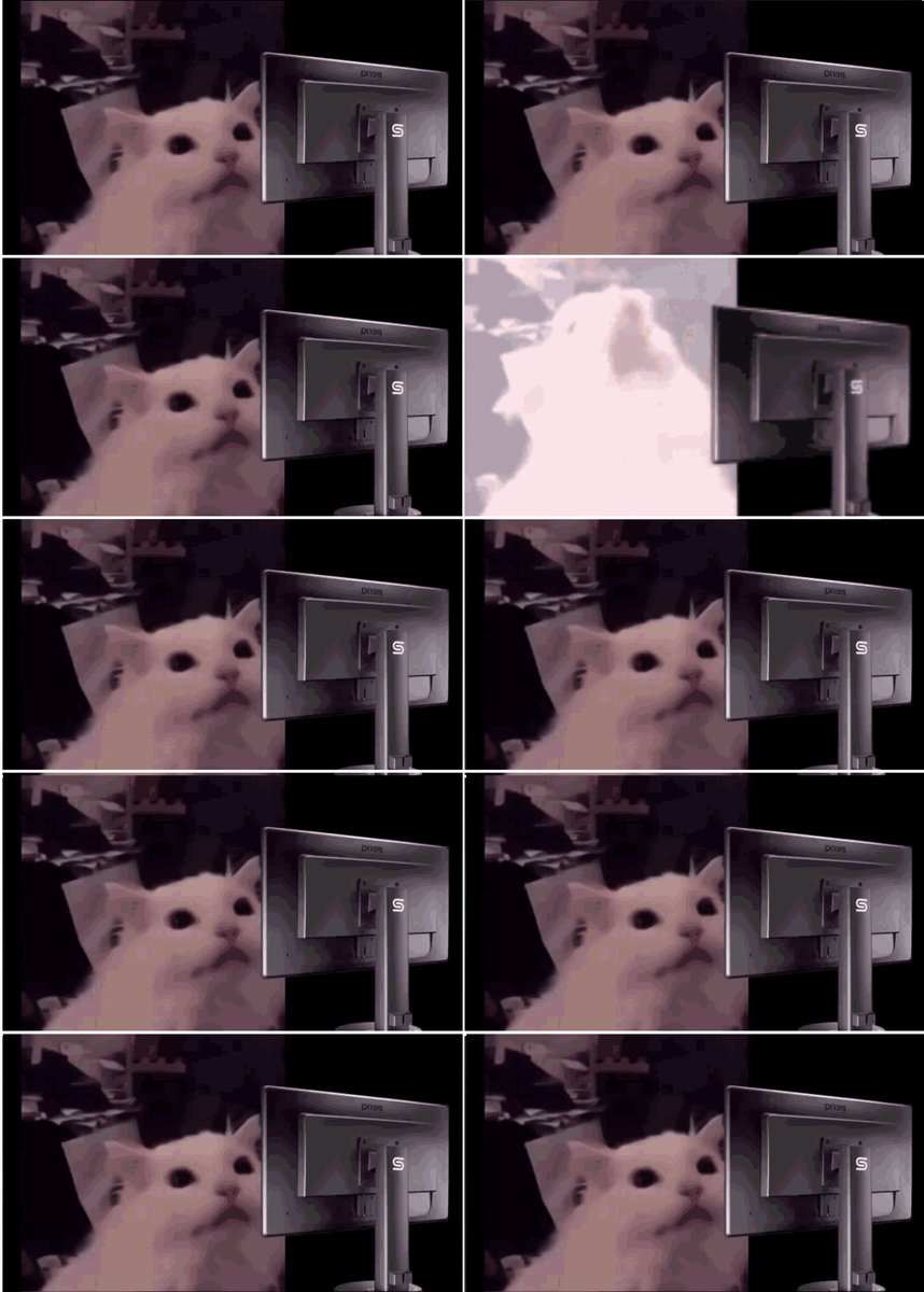 D2 S'phtposting ⬛️⬜️🟪 tweet media