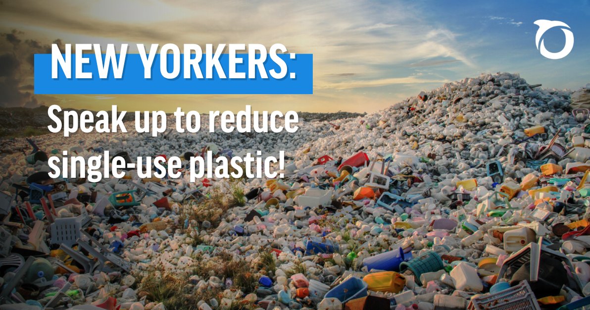 📢 NEW YORKERS: A proposed bill in the New York Legislature could help reduce single-use plastic pollution and protect our coasts and waterways! Add your name to support The Packaging Reduction Act today: act.oceana.org/page/149905/ac…