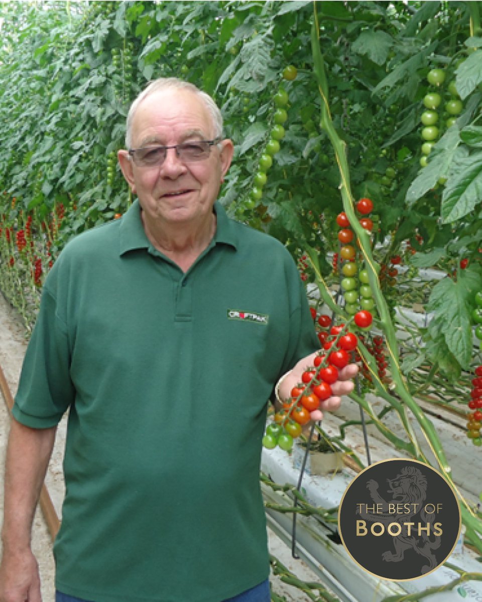 BoothsCountry's tweet image. In celebration of the British Tomato &amp;amp; Brian 🍅
Brian and his family run Croftpak Nurseries in Tarleton, Lancashire, and have been supplying us with the very best of British tomatoes every year since the 1980s! Discover them in store now brnw.ch/21wKoSB