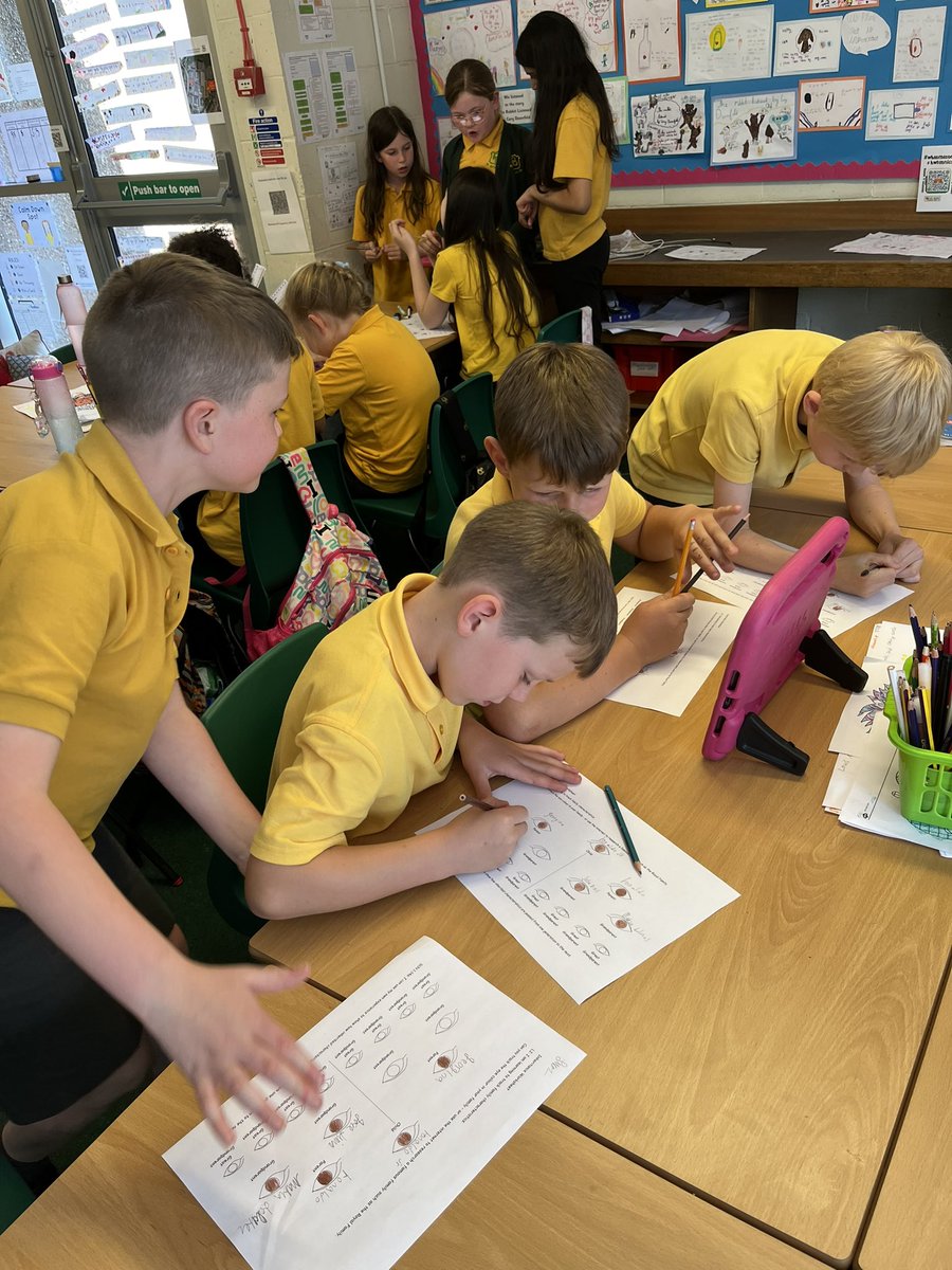 wlstnicholasps1's tweet image. In Science P4b are learning about inherited characteristics. They researched a famous family or chose their own and looked at the eye colours that are passed through generations. 👁️#p4stnics #sciencestnics #digitallearningstnics