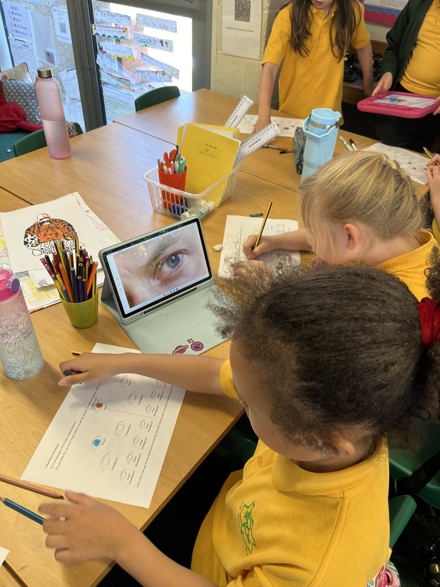 wlstnicholasps1's tweet image. In Science P4b are learning about inherited characteristics. They researched a famous family or chose their own and looked at the eye colours that are passed through generations. 👁️#p4stnics #sciencestnics #digitallearningstnics