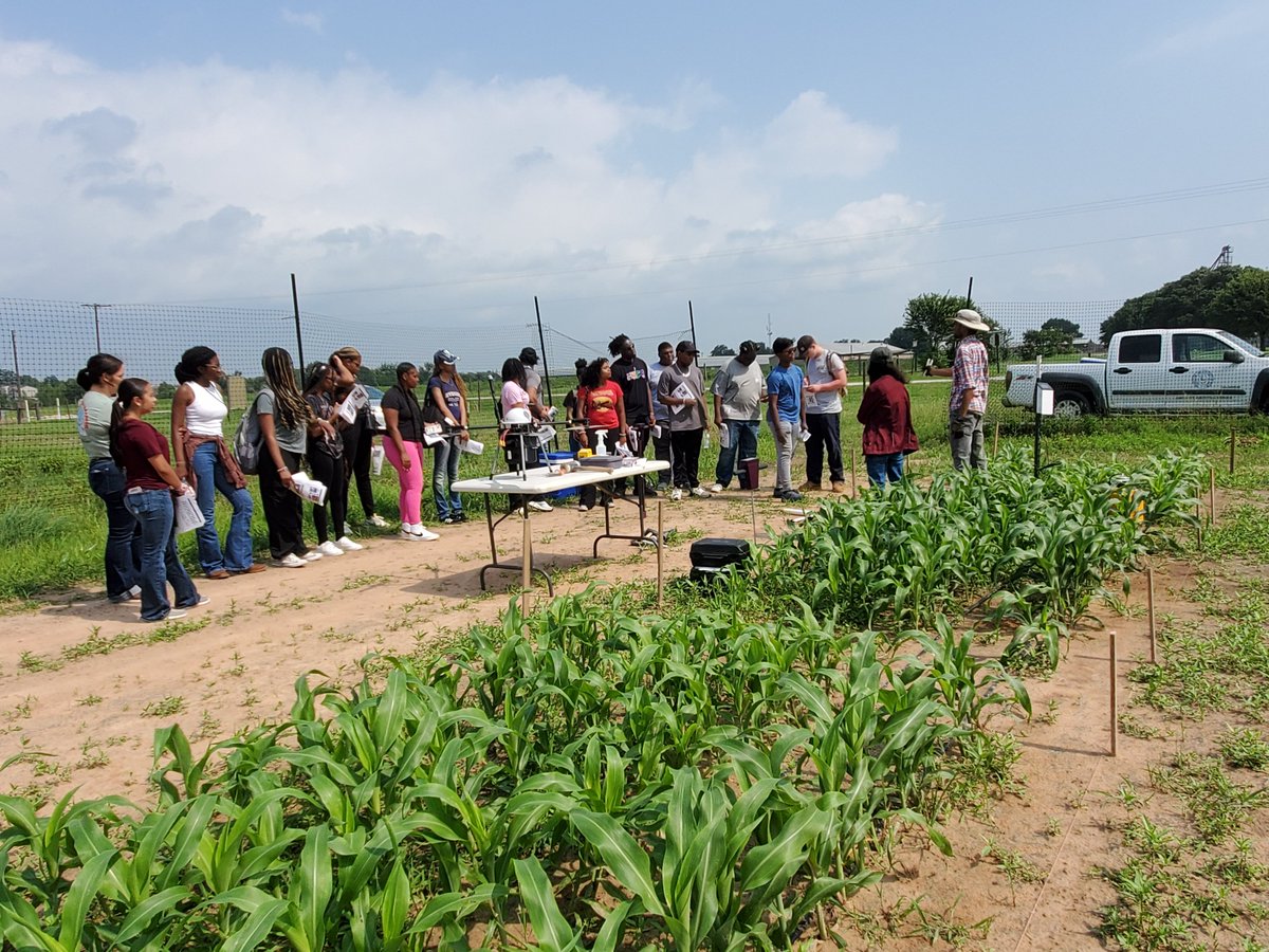 ripendra's tweet photo. Field Demonstration: June 3, 2024 (Ag Discovery Summer Camp)
@pvamucahs https://t.co/oBmhgdBonr