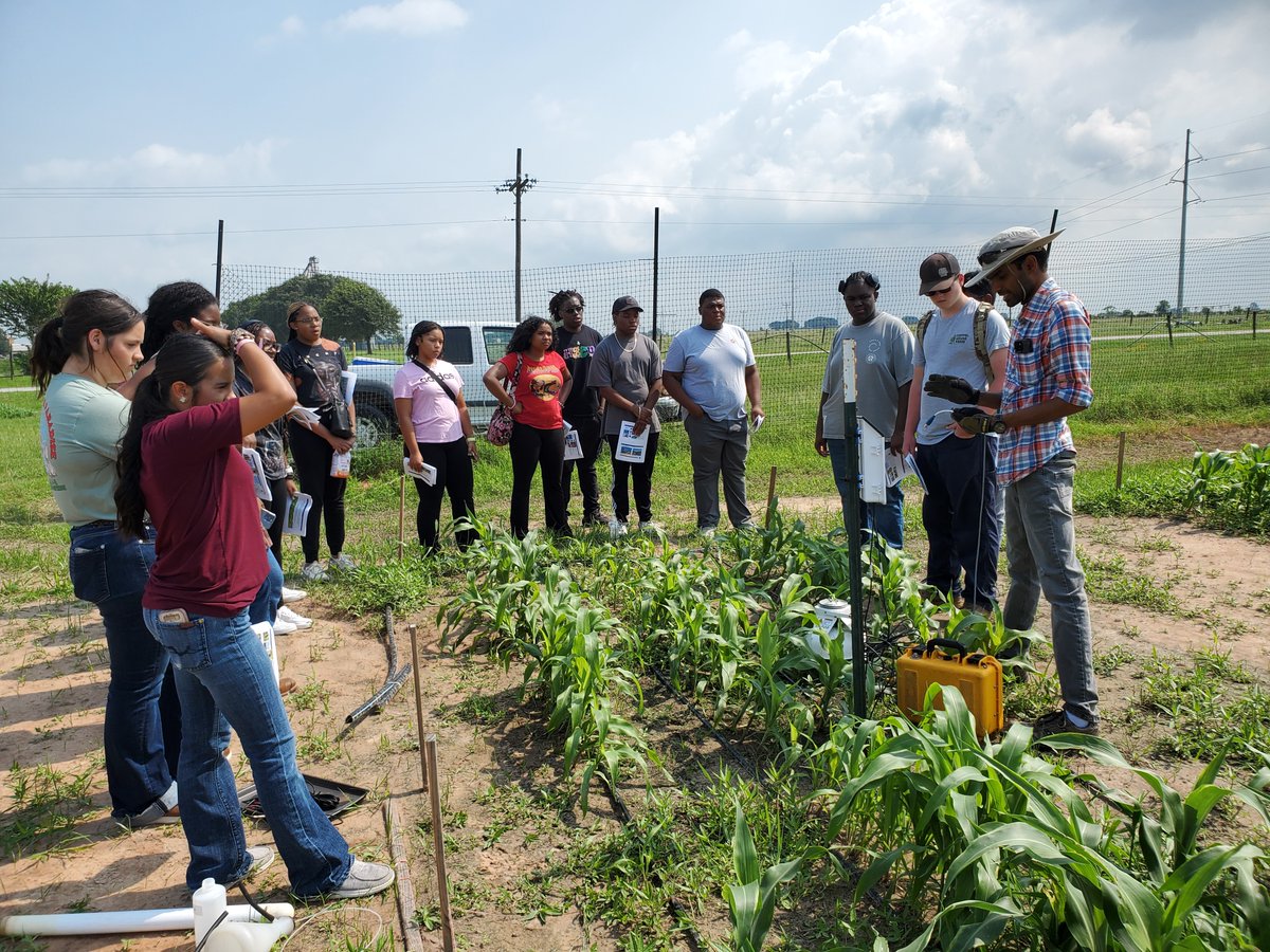 ripendra's tweet photo. Field Demonstration: June 3, 2024 (Ag Discovery Summer Camp)
@pvamucahs https://t.co/oBmhgdBonr