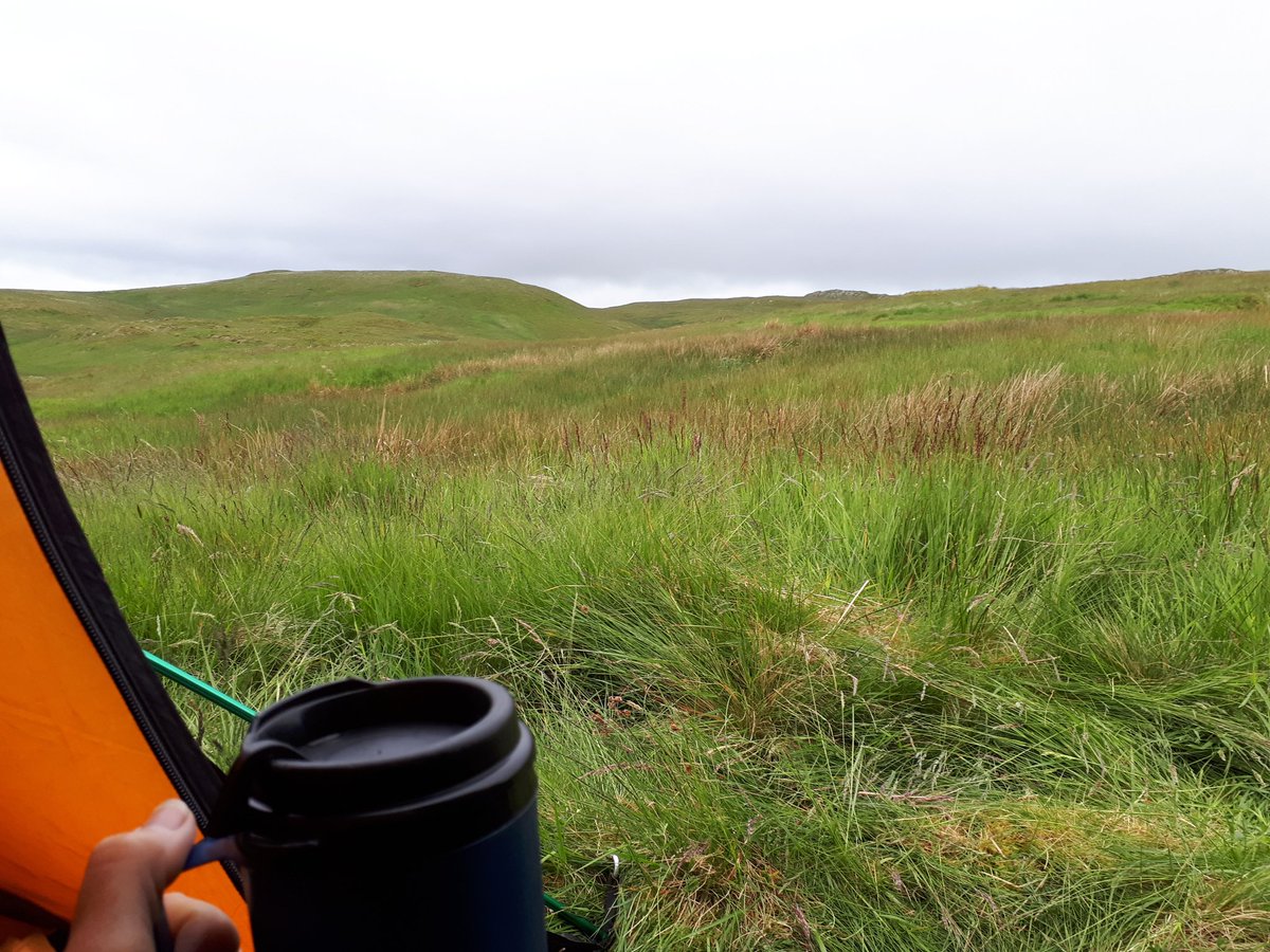 KJ_H4wkins's tweet photo. Day 3 #30DaysWild and #BreakfastOutside.
A camping breakfast, twisting trees, common spotted-orchids and yellow map (?) lichen! Another fab day outside!! https://t.co/ZhH4QWXLCM