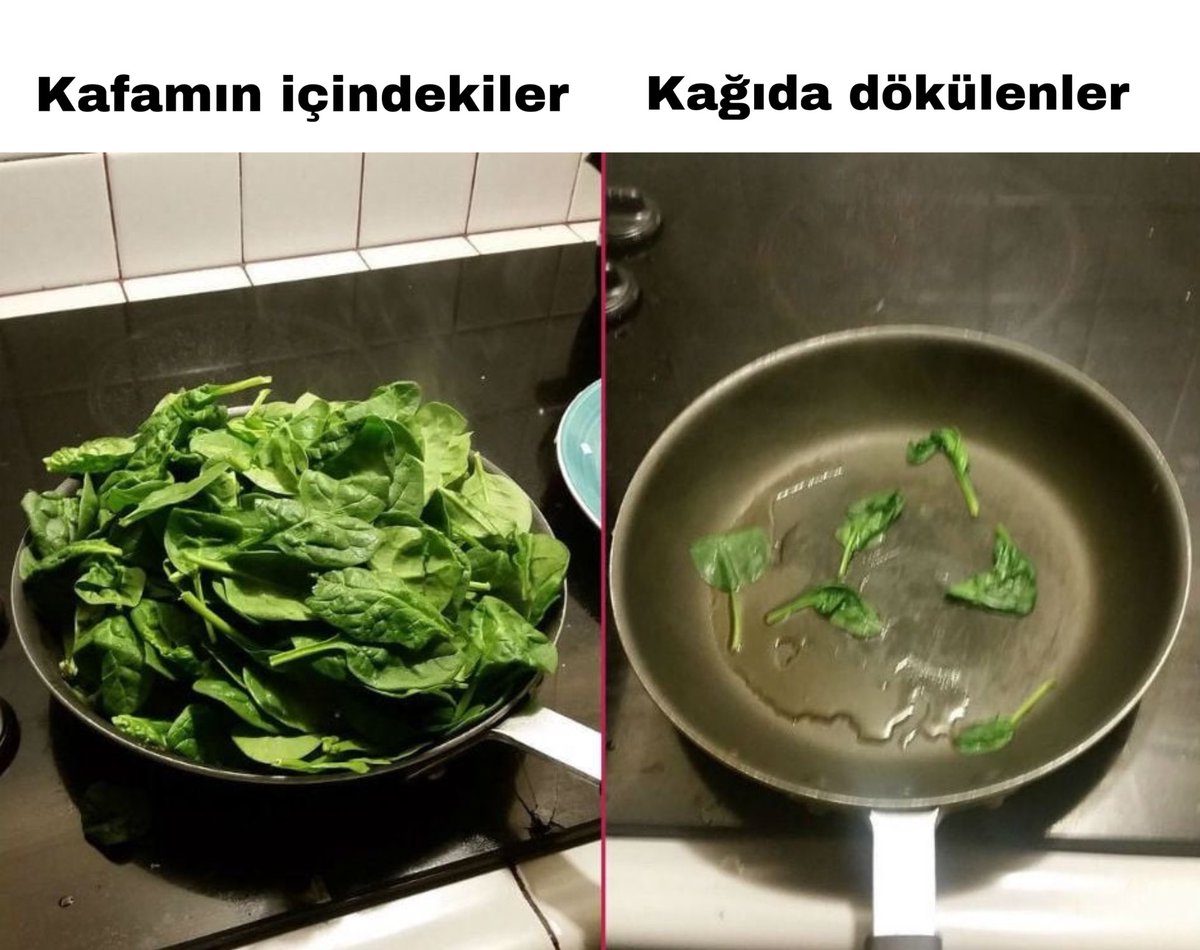 praxiss's tweet photo. Sosyal bilimcilerin yazma çilesi https://t.co/01g8MfuU8X