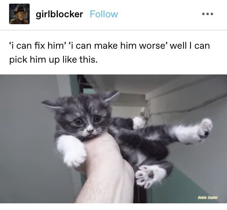 PunchingCat's tweet photo. https://t.co/1dC8EOVIgb