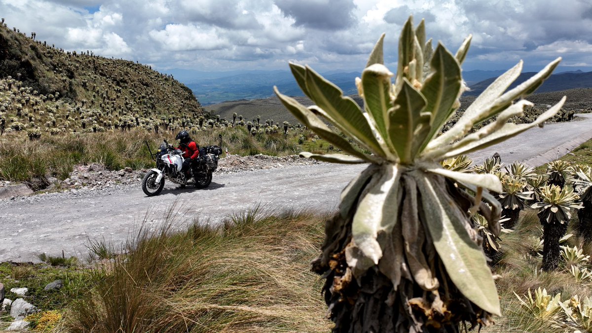 charlysinewan's tweet photo. Tras un par de días resolviendo gestiones, arranca el viaje por Ecuador y lo hace por todo lo alto. ¿Vistéis el capítulo de ayer?

#charlysinewan #viajeenmoto #ecuador #offroad #desertx #dreamwilder https://t.co/clYgdmlbpz