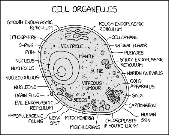 samooja's tweet photo. #xkcd #cell the perfect schematic https://t.co/59Wgd18S2r #science #illustration #nature #biology https://t.co/Mo2TVBrR3x