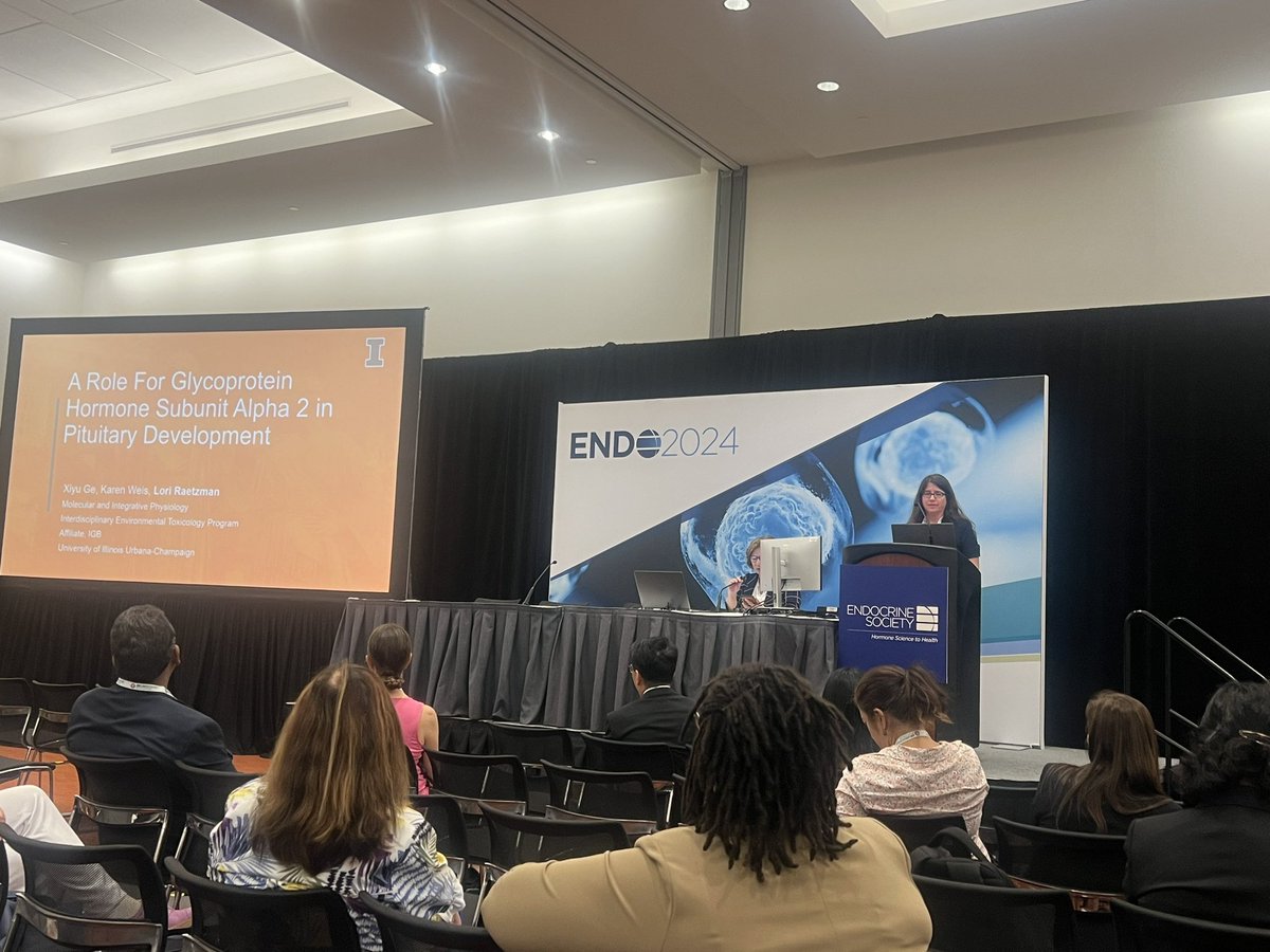 BreenChurch's tweet photo. Fabulous pituitary development talk by Dr. Lori Raetzman @PrairieLTR at #endo2024! @TheEndoSociety 
Innovative insights into endocrine disease stemming from the pit! https://t.co/oDk3iKz3VE