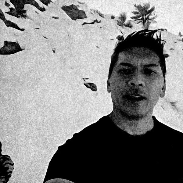 THE ARTISTS FORUM tweet media