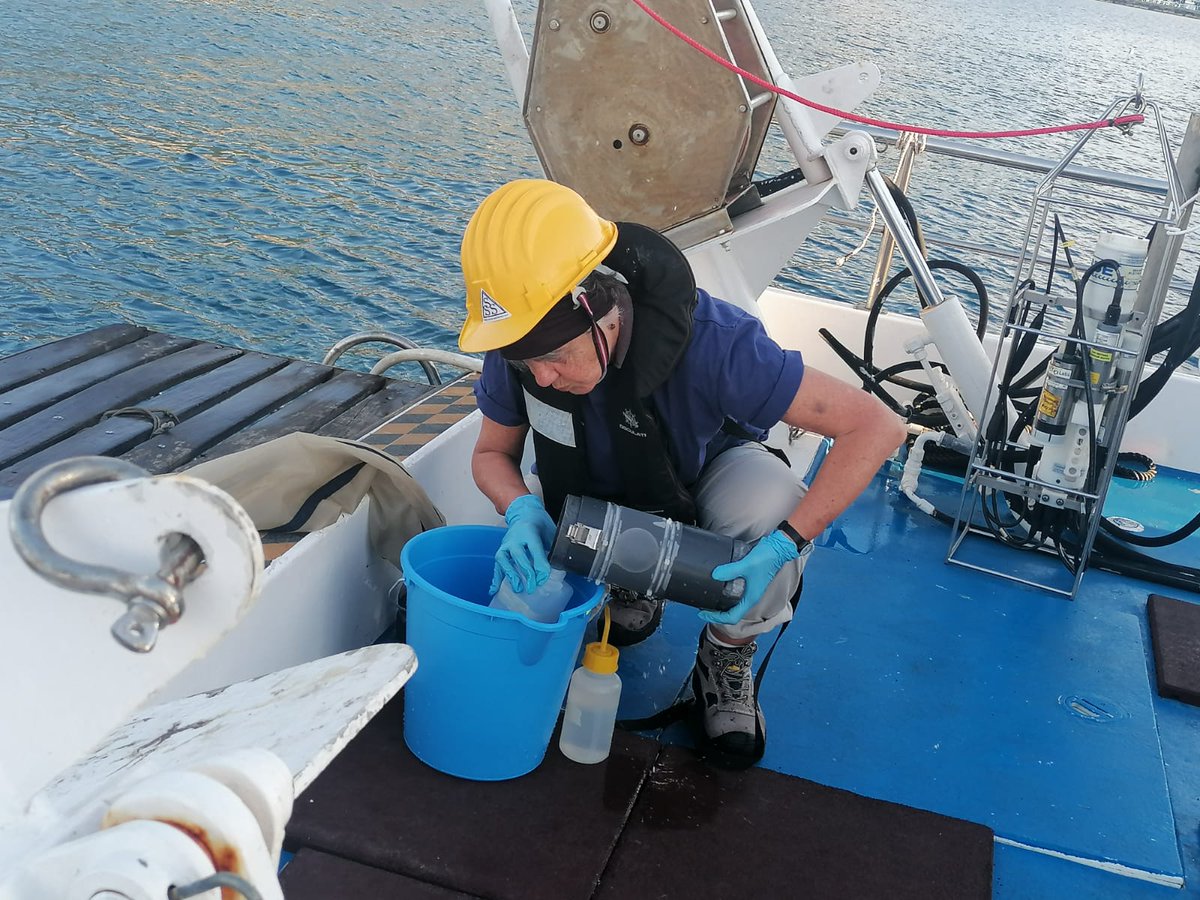 Arnone Lab (@arnonelab) on Twitter photo The first sampling of the <a href="/EMBLtrec/">EMBLtrec</a> sub-project "Rhythms@Sea" in Lacco Ameno, Ischia (NA) ended. Many thanks to all participants and groups from <a href="/SznDohrn/">Stazione Zoologica Anton Dohrn</a> @GabrieleGpro, <a href="/embl/">EMBL</a> <a href="/wormduty/">Arendt Lab</a>, @COSHeidelberg @JekelyLab, <a href="/MaxPerutzLabs/">Max Perutz Labs Vienna</a> <a href="/FRKT_labs/">Tessmar & Raible Labs</a>, <a href="/CNRS/">CNRS 🌍</a> <a href="/AFalciatore/">Angela Falciatore</a>. 1/n The first sampling of the <a href="/EMBLtrec/">EMBLtrec</a> sub-project "Rhythms@Sea" in Lacco Ameno, Ischia (NA) ended. Many thanks to all participants and groups from <a href="/SznDohrn/">Stazione Zoologica Anton Dohrn</a> @GabrieleGpro, <a href="/embl/">EMBL</a> <a href="/wormduty/">Arendt Lab</a>, @COSHeidelberg @JekelyLab, <a href="/MaxPerutzLabs/">Max Perutz Labs Vienna</a> <a href="/FRKT_labs/">Tessmar & Raible Labs</a>, <a href="/CNRS/">CNRS 🌍</a> <a href="/AFalciatore/">Angela Falciatore</a>. 1/n