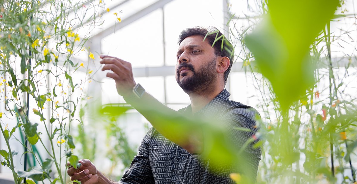 UCalgary Science tweet media