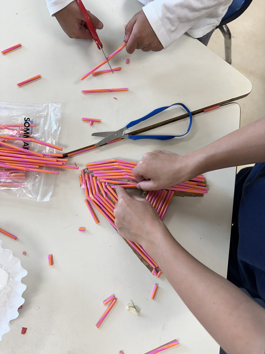 BPSHawks1 tweet media