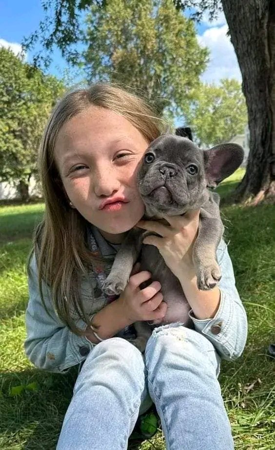 FrenchBulldog72's tweet photo. Great Photograph 🥰❤️ https://t.co/ceuXBt2K3W
