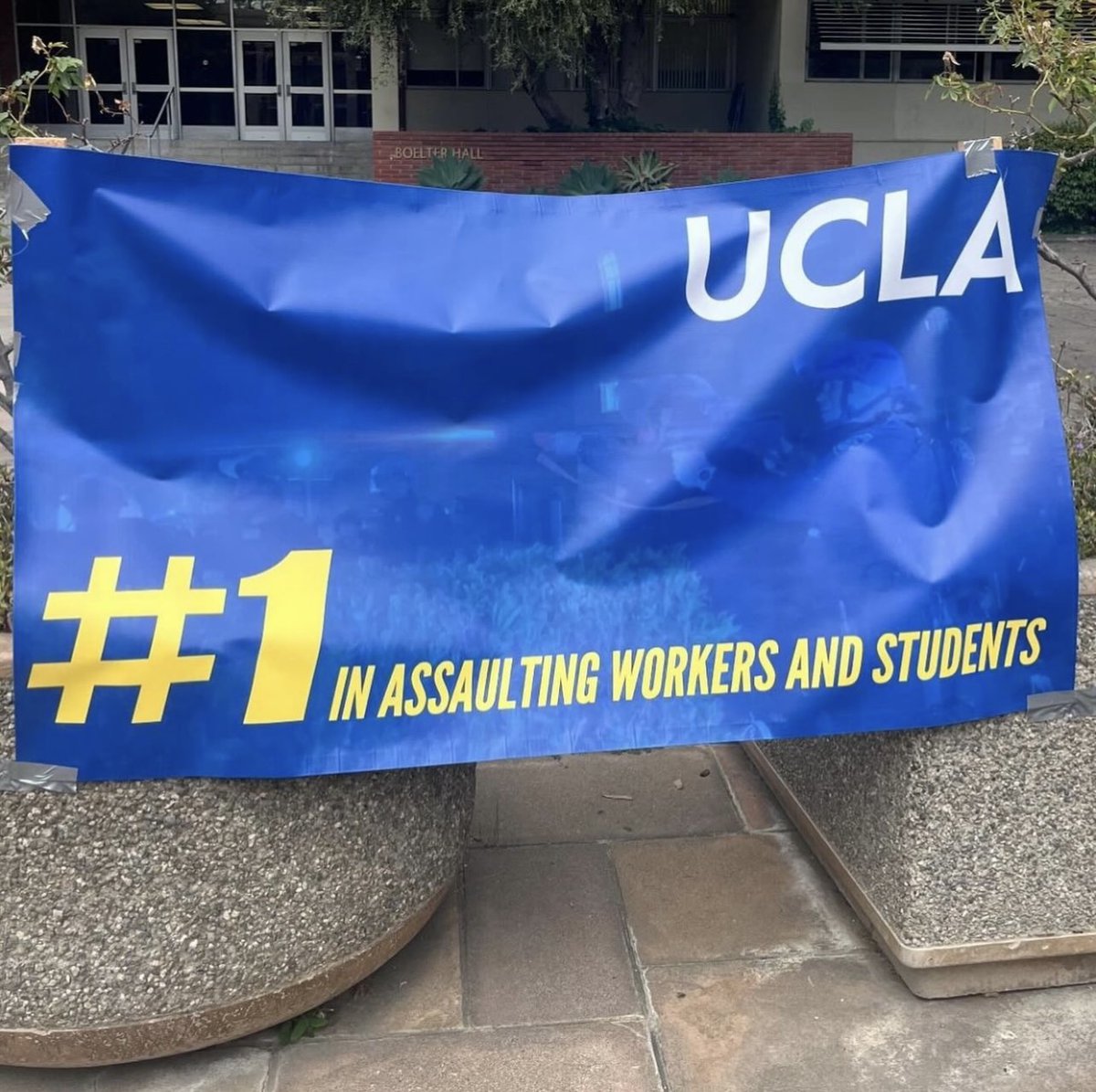 PplsCityCouncil's tweet photo. New banner going up all around UCLA campus https://t.co/dgsHOJFOFo