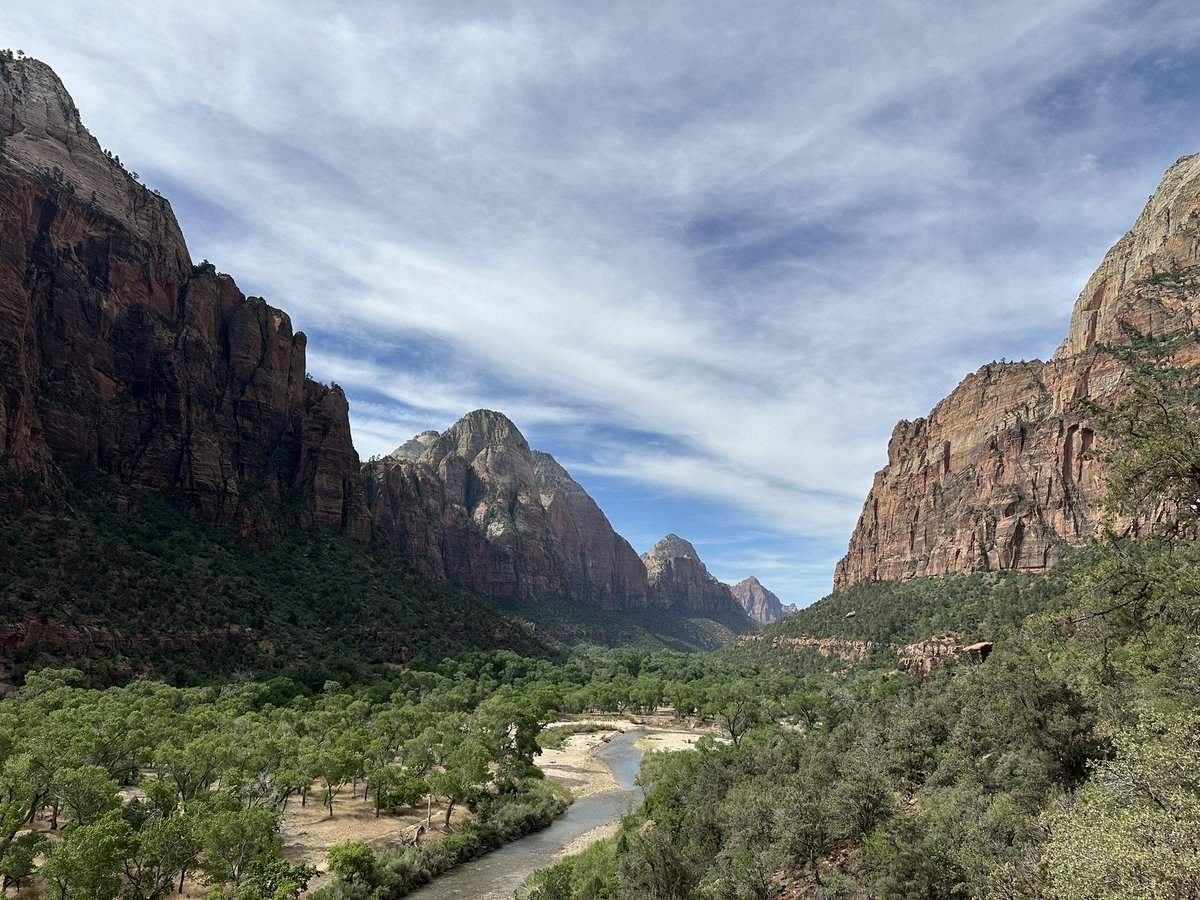 Brandon Piller tweet media