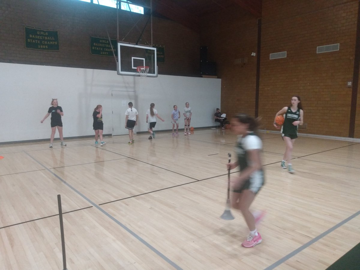 Clearfield Lady Falcon Basketball tweet media