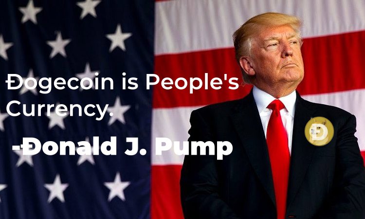 🔁Repost ❤️Like 

If you believe <a href="/realDonaldTrump/">Donald J. Trump</a> will be supporting <a href="/dogecoin/">Dogecoin</a> in the election.