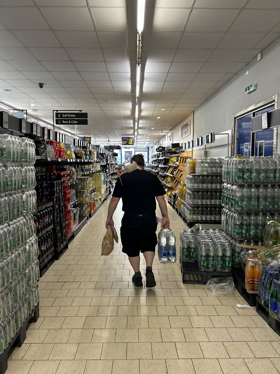 Tell me why a man was walking around Lidl with a rat on his shoulder