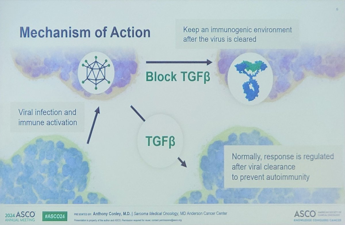 FadiHaddad_MD's tweet image. Great presentation by @APConley77 from @MDAndersonNews discussing TGF-B blockade by AdAPT-001 in combination with #ICI in #sarcomas
🔹43% clinical benefit &amp;gt;6 mo
🔹mPFS not reached
🔹No erious AEs, all G1-2,mostly flu-like symptoms 
⬇️⬇️⬇️
