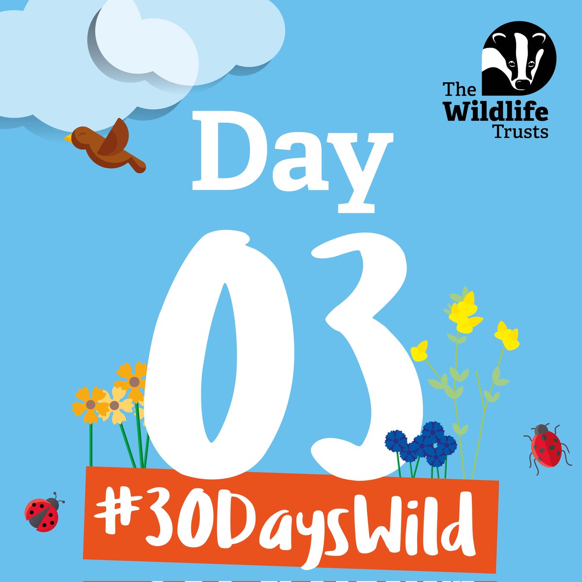 kaysafus's tweet photo. Listened to the birds in the garden and on the roof
#30dayswild https://t.co/RAIZIJB9TN