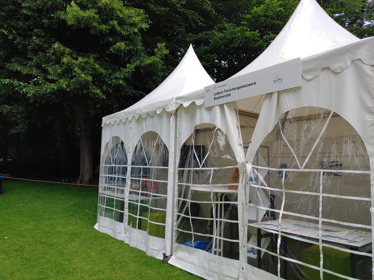Leibniz_LIB's tweet photo. Letzte Vorbereitungen: uns bei der #WochederUmwelt am 4./ 5. Juni in Berlin, #SchlossBellvue an Ständen des @LeibnizBiodiv mit #BioMonitor4CAP, #projectPollination, #CaBOL, den #10MustKnows2024 am Standnr. 105, @FoerTax, @KennArt_arten & @GBOLIIIDarkTaxa Wir freuen uns auf Euch! https://t.co/jhcsgI7qeg