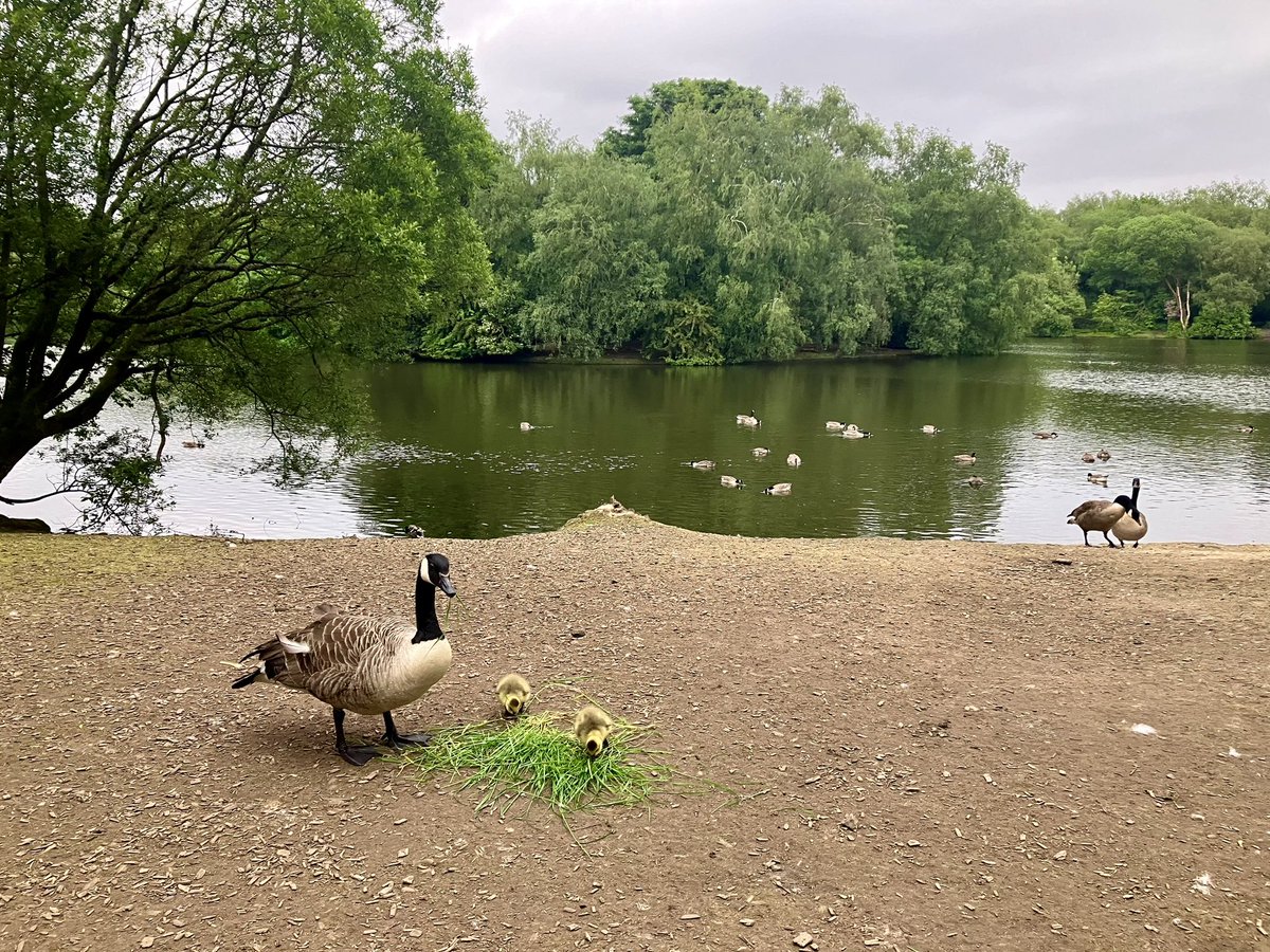 Rachel Botterill tweet media