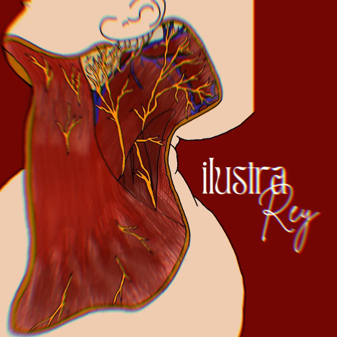 ilustrarey_pb's tweet photo. Músculos do Pescoço (Platisma, Esternocleidomast...)

#muscles #neck #musculos #anatomydrawing #anatomia #anatomy #miologia #miology #neckanatomy #ilustração #illustration #ilustrador #art #arte #desenho #drawing #artedigital #anatomydesign #desenhos #illustshare https://t.co/PtM9ozWQ5c