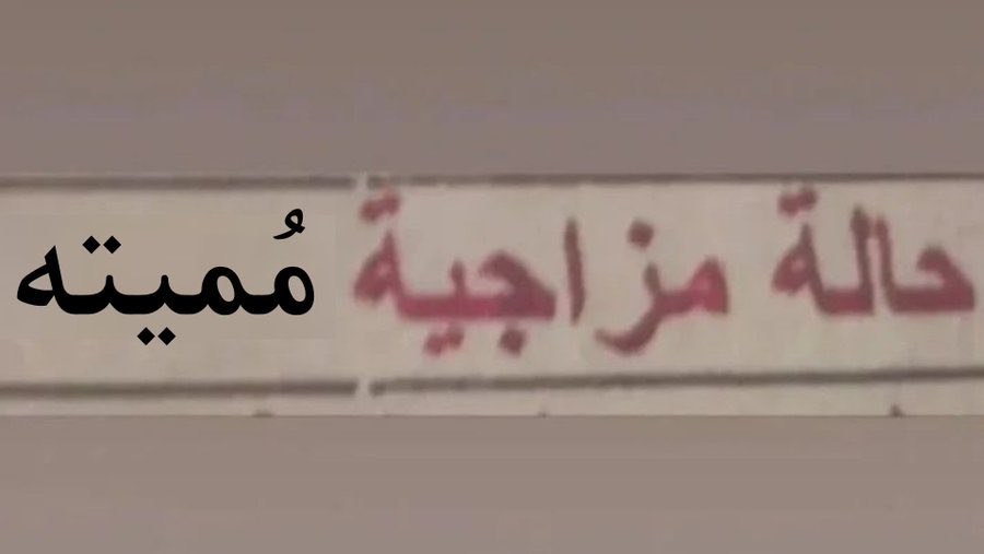 egymeme11's tweet photo. https://t.co/f99K0jHH1A