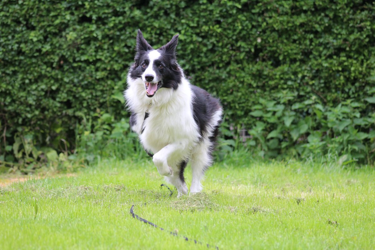 Freedom of Spirit tweet media