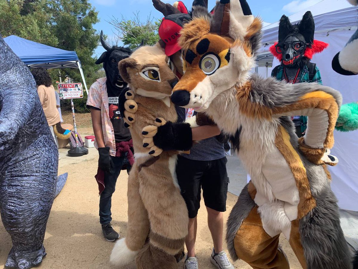 CopperYopper's tweet image. I don’t know what you’re looking at but this yote is more important
📸 @BadBizzTheFurry