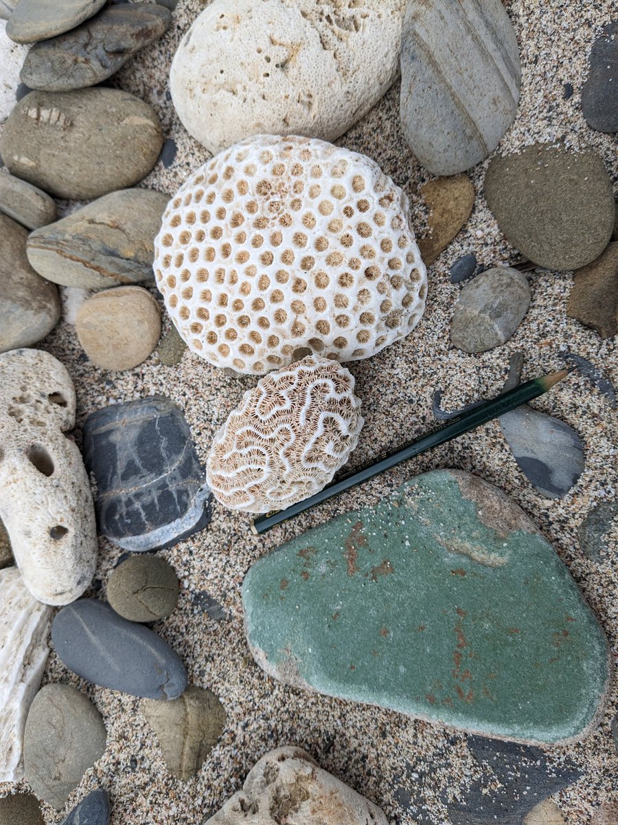 <a href="/ISROC_Network/">ISROC network</a> The opportunity was an essential conduit to share ideas, build multidisciplinary partnerships, and teamwork, to enhance our understanding of our coasts. Focus was placed on the observations of changes and impacts in the U.S. Virgin Islands.

Undoubtedly flawless!