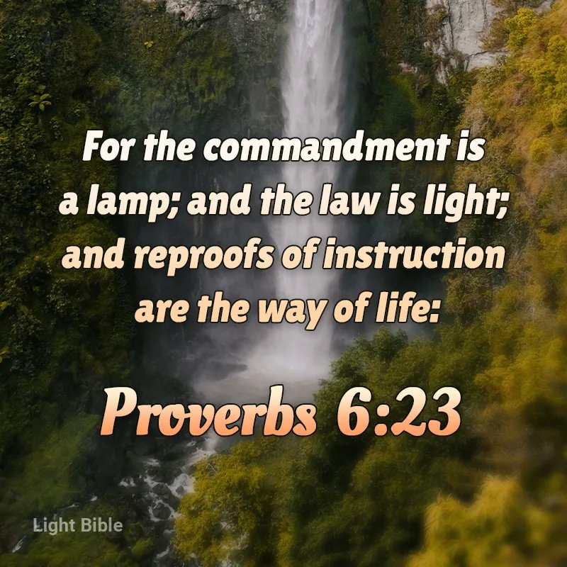 Oyewolesam28's tweet photo. God’s word is such a valuable resource for our daily lives.
His word shines the light of truth on our actions, revealing where correction is needed.
Credit to
#WordOfGod #lightuntomypath #LampUntoMyFeet #truth #God #JesusIsLord https://t.co/D93HBEqAjI