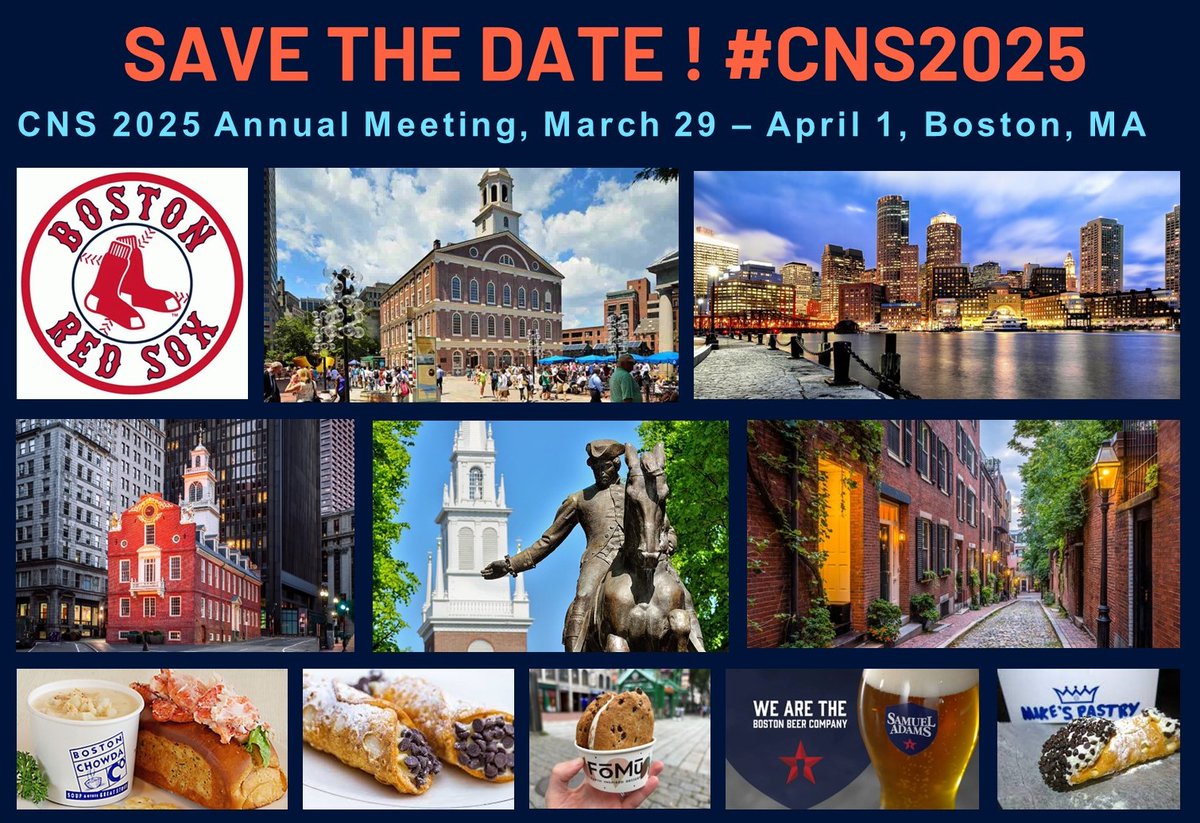 CNSmtg's tweet image. Save the Date for the Cognitive Neuroscience Society (CNS) 2025 Annual Meeting in Boston! #CNS2025

@CogNeuroNews @CNS_TA